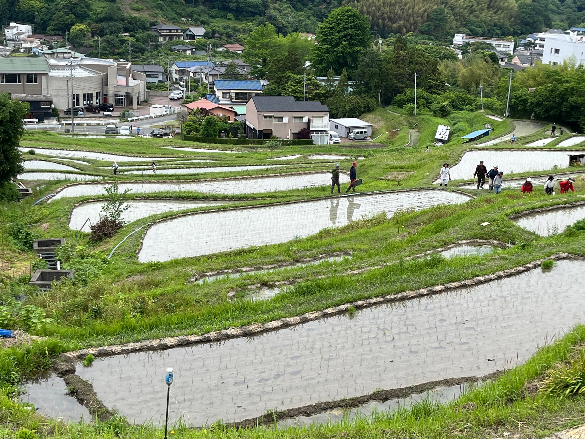 上山口町内会＠葉山町